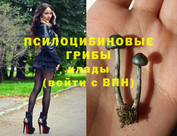 гашиш Бронницы