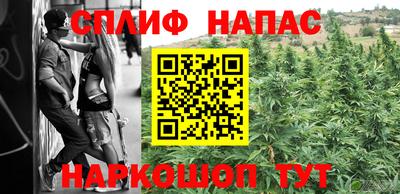 гидра Берёзовский