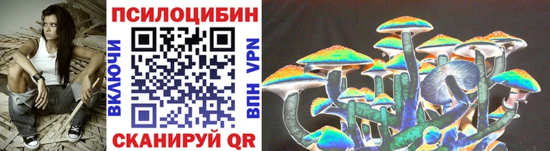 blacksprut ONION Северск Псилоцибиновые грибы MAGIC MUSHROOMS