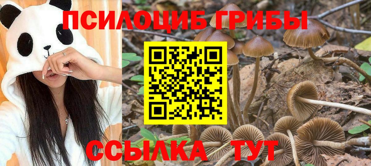 Псилоцибиновые грибы прущие грибы  Псилоцибиновые грибы Magic Shrooms  Северск 