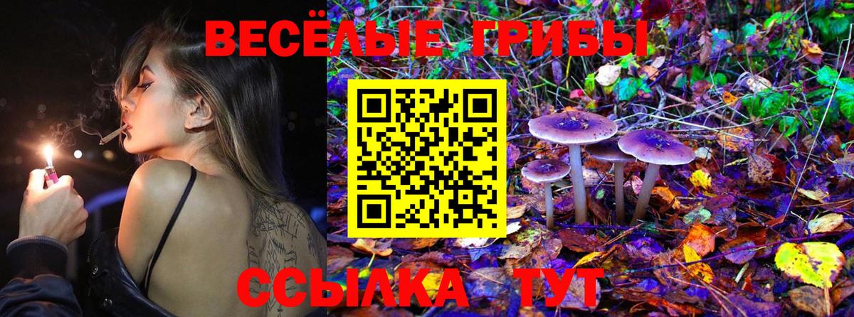 Псилоцибиновые грибы GOLDEN TEACHER Северск