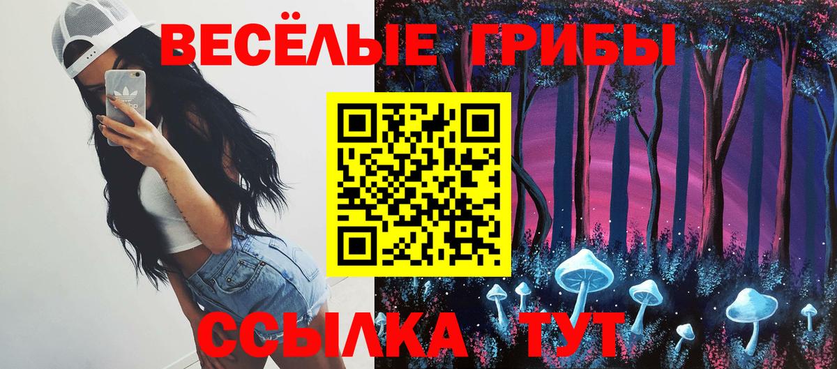 Псилоцибиновые грибы мицелий  Вход с VPN  Северск 